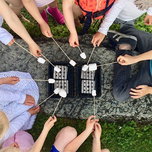 Portable Folding BBQ