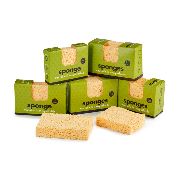 Natural Compostable Sponge