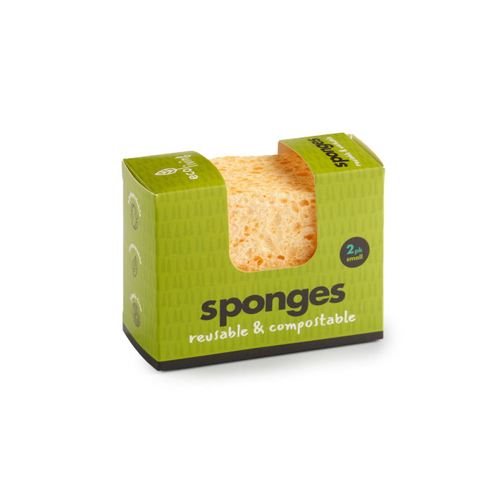 Natural Compostable Sponge