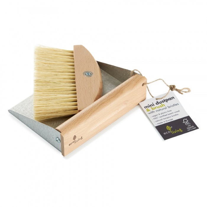 Mini Dustpan and Brush Set