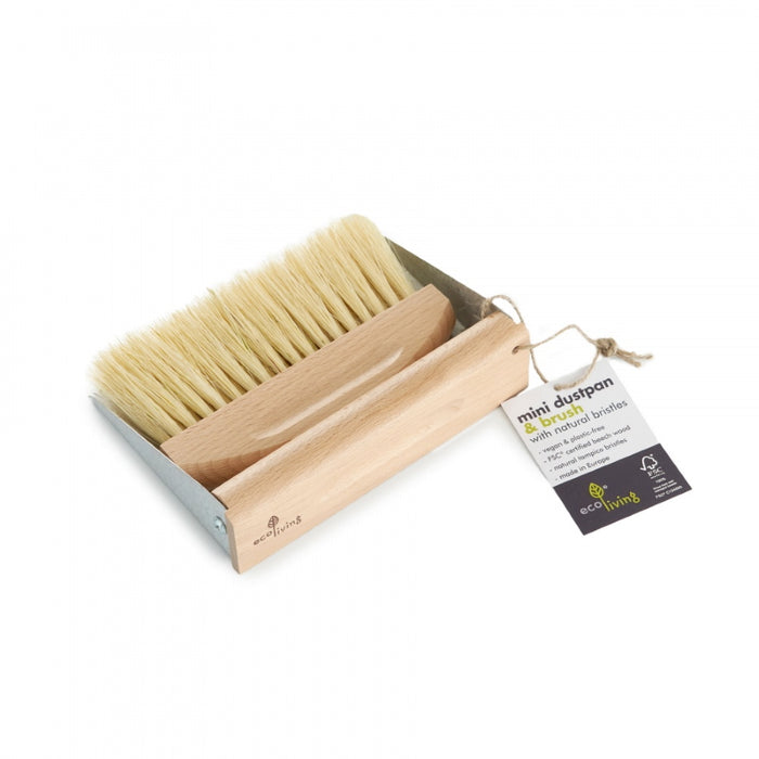 Mini Dustpan and Brush Set