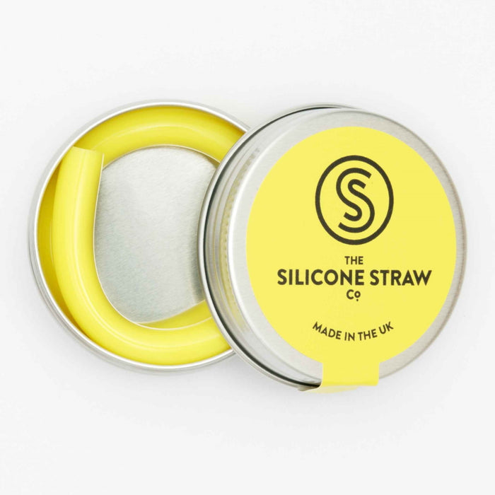 Silicone Straw With Travel Tin